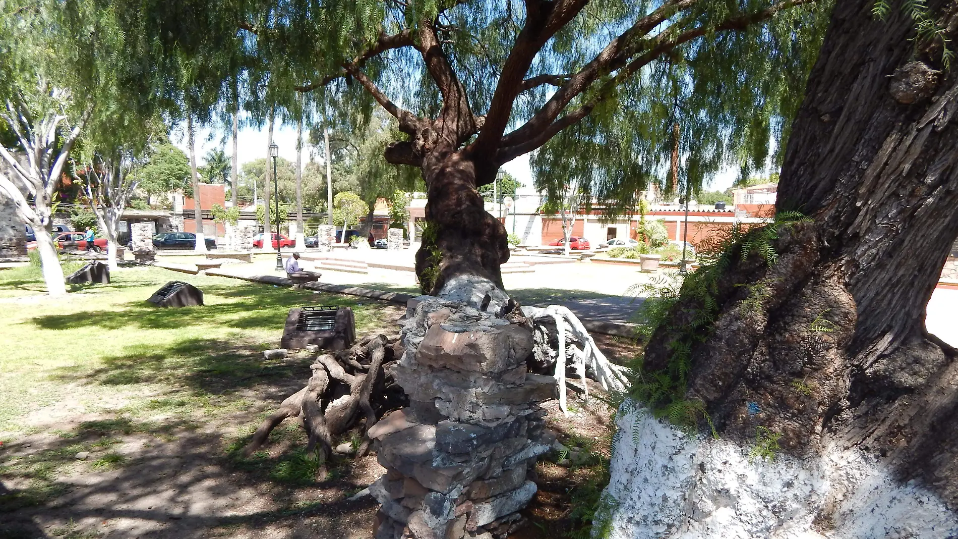 Paraje de la Plaza D. Carmona. Foto de EMP.